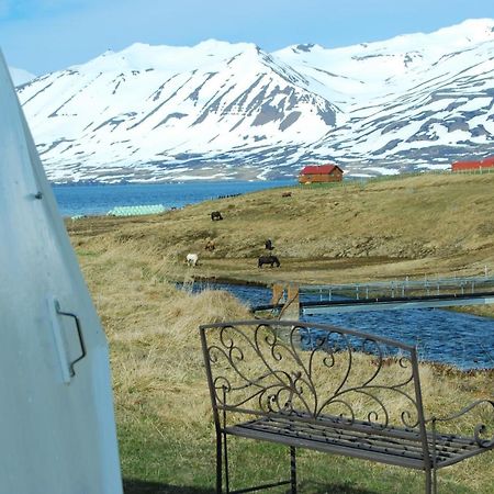Sky Sighting Igluhus - Stay'In Arbakki Arskogssandur Экстерьер фото